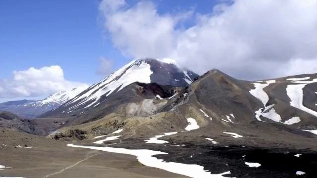 Protection nature et animaux смотреть онлайн
