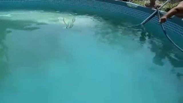 Очистка дна Бассейна как Это зделать? смотреть онлайн