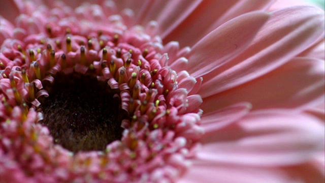 Antonio Vivaldi: Chamber Concerto For Flute, Oboe, Violin, Bassoon & B.c. In C Major (RV 88)