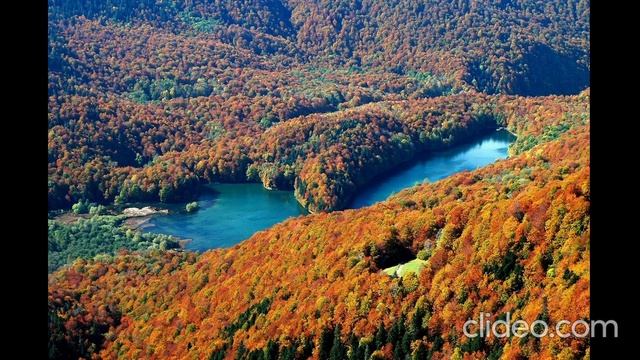 4. Аудио урок для взрослых дифференциация звук Р - Рь. смотреть онлайн