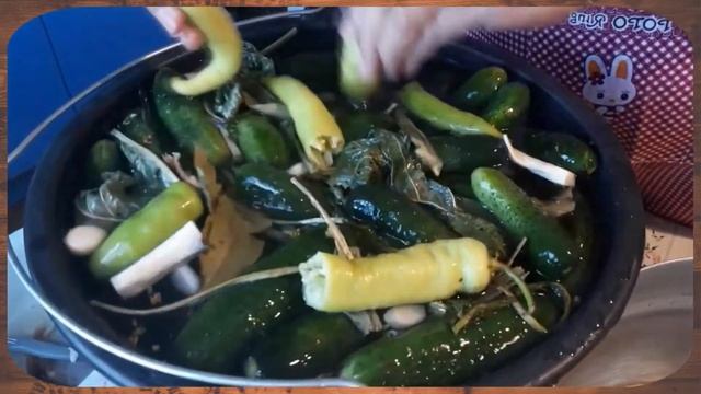 Солю огурцы так уже 30 лет. Хрустящие соленые огурцы без уксуса