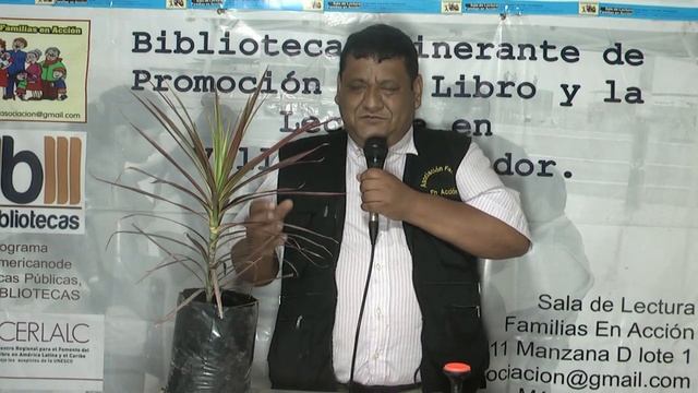 Dracaena marginata tricolor смотреть онлайн