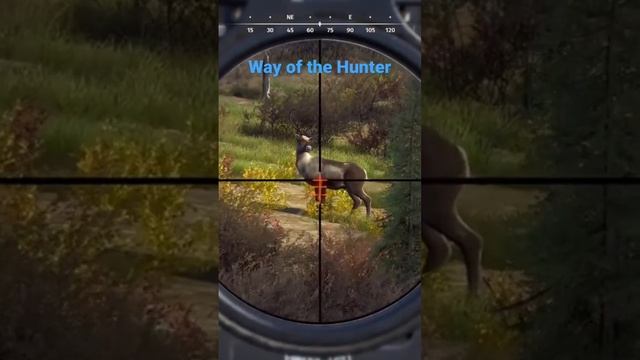 Way of the Hunter : Aurora shores смотреть онлайн