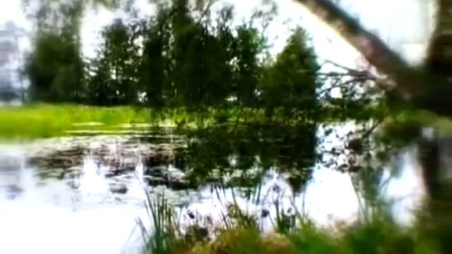 "Подари мне лето" (В.Дмитриев - М.Пляцковский) смотреть онлайн