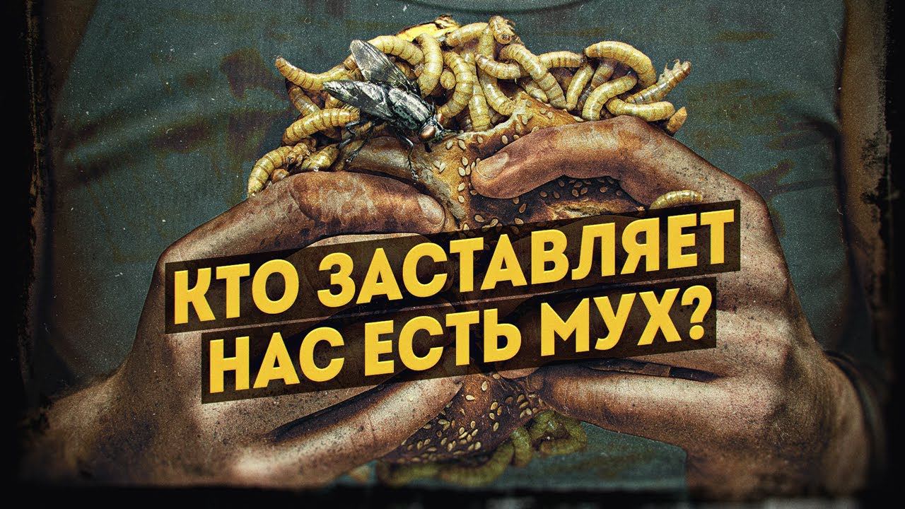 Почему Путин поддерживает повестку глобалистов? Съедобные мухи. Инна Ямбулатова смотреть онлайн