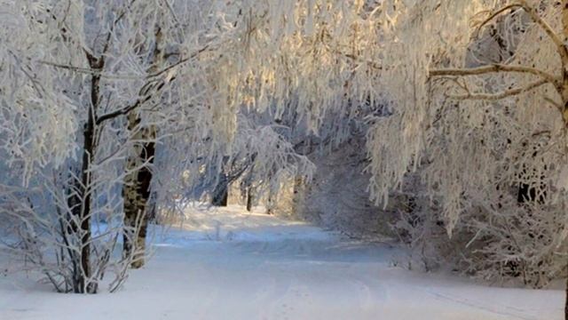 Народный праздник «Степанов день». 9 января. Что нужно делать в этот день. смотреть онлайн