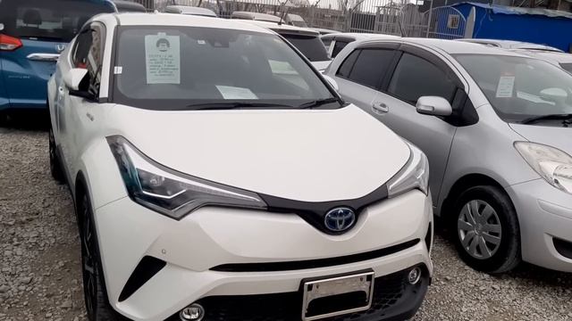 Авторынок Новороссийск,новые авто из Японии,24.03.23г. смотреть онлайн