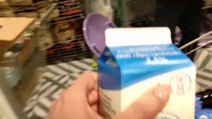 Примерка трусов. Выходной день - рабочий день.