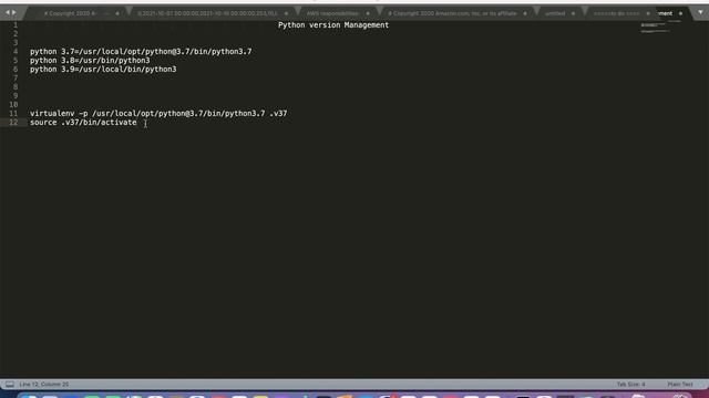 How to manage Python versions #python #pythonprogramming #versioning #technology #educational смотреть онлайн