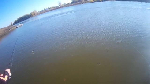 Рыбалка,  обучение , гайдинг, Джиг