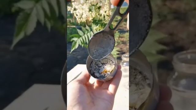 Как сделать САДОВЫЙ ВАР дома #просто #plant #flower #flowerplant #gardening смотреть онлайн