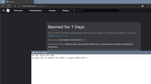 stupid roblox ban!!! смотреть онлайн