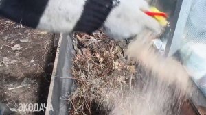 Делаем тёплую грядку