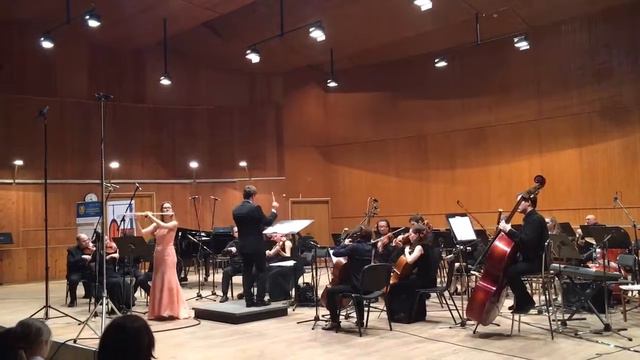 Ф.Допплер. «Венгерская фантазия» смотреть онлайн