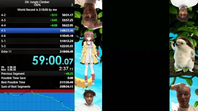 [WR] DK: Jungle Climber 100% Speedrun in 1:54:36 смотреть онлайн