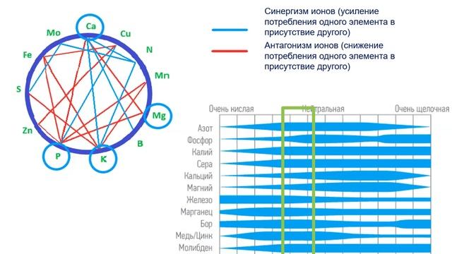 МИНЕРАЛЬНОЕ ПИТАНИЕ ЯГОДНЫХ КУЛЬТУР. ЗЕМЛЯНИКА САДОВАЯ. смотреть онлайн
