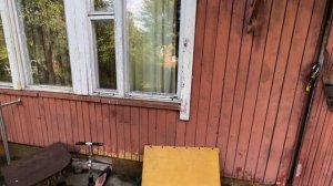 Купил старую дачу у леса.