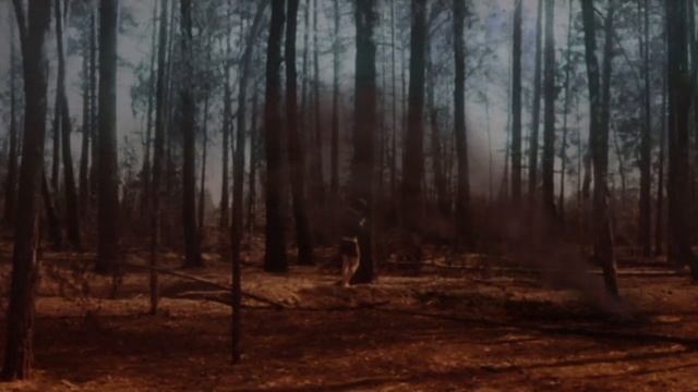 "Каждую ночь мне снится родной Канзас..." Кот Басё смотреть онлайн