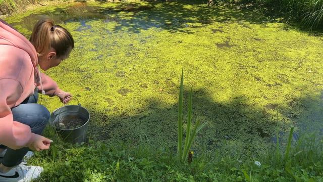 Один день на даче. Работаю в тишине | One day in silence. ASMR SOUND смотреть онлайн