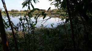 Осенняя охота на утку в Свердловской обл.