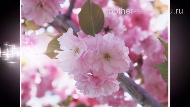 Весна, весна! Как воздух чист! смотреть онлайн