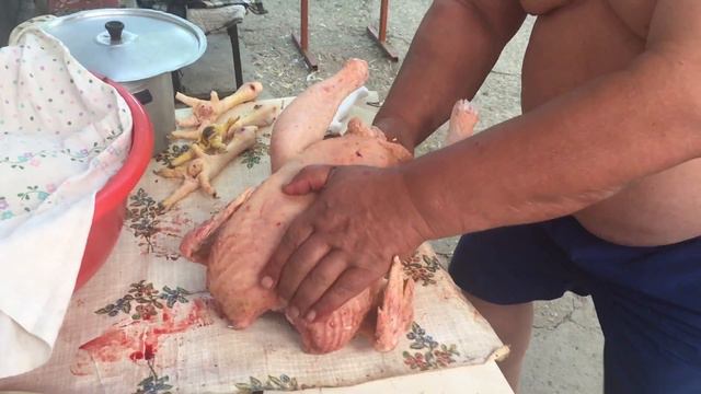 Играет на курице как божина))) смотреть онлайн