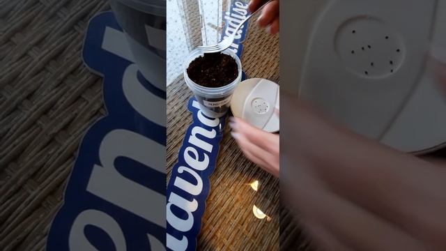 Ремонтный Шик