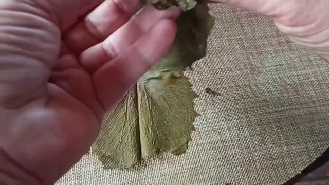 Виноградные листья в вакууме. Для Долма и сыра. смотреть онлайн