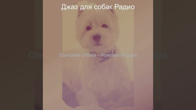 Видения (Выгул собак) смотреть онлайн