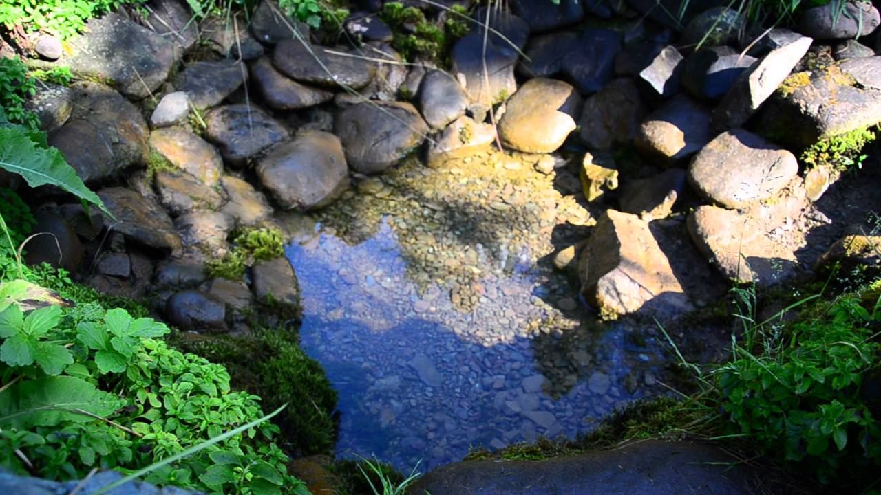 Исчезающий источник (пульсирующий) смотреть онлайн