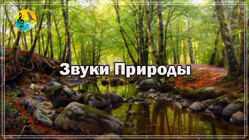 Медитация Во Сне ? Нежный шум горной реки в весеннем лесу ✦ звуки природы для отдыха ? Relaxing смотреть онлайн