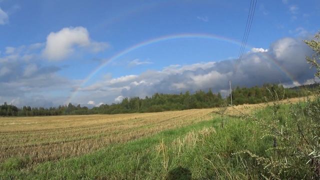 Охота на дикого голубя - вяхиря в 2016 г. Новая встреча. Часть 1. смотреть онлайн