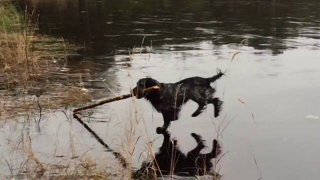 Твёрдая вода ) смотреть онлайн