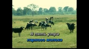 33 коровы мастер караоке 2001 года в ФУЛЛ HD