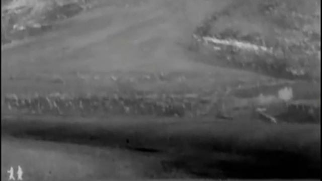 1000m to observe human смотреть онлайн