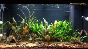 Течь аквариума. Что делать | Почему течёт аквариум | Что надо знать про аквариум