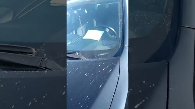 Авто рынок в Хасавюрте 8928 559 53 30 смотреть онлайн
