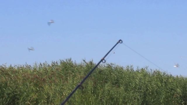 Fishing. Lake Balkhash. Kazakhstan. Рыбалка на Балхаше. База У Эвальда смотреть онлайн