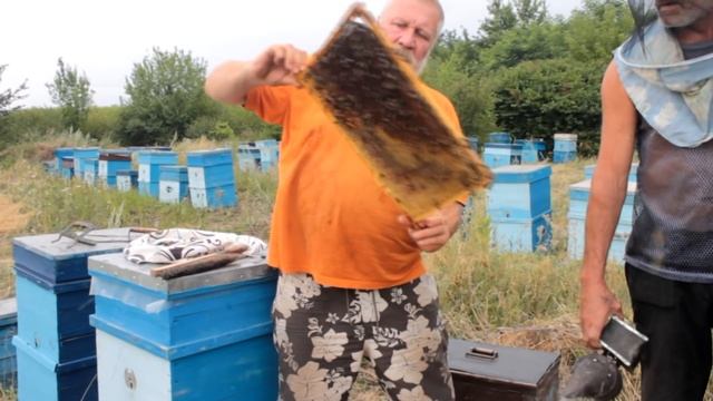 Качка как В СТАРЫЕ ДОБРЫЕ ВРЕМЕНА. Пчеловодство 2020. Пчеловодство для начинающих смотреть онлайн