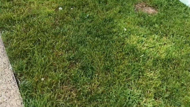 Стамбул: как мы были на экскурсии во дворец долмабахче,цистерну филоксену,мечеть сулеймание и други смотреть онлайн