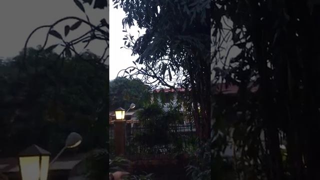 Jim Thompson Tayland смотреть онлайн
