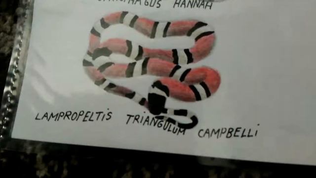 hungry shark realistic-враги,акулы. смотреть онлайн