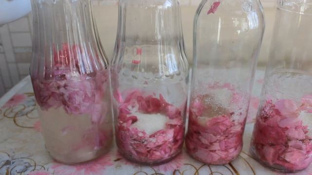 Напиток из Чайных Роз на Зиму!!! Rose Water ???Лучший летний напиток! смотреть онлайн