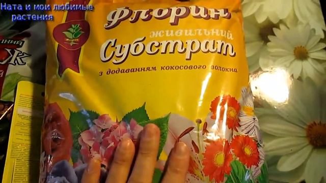 На карантине некогда скучать !  Занимаемся комнатными цветами // Indoor plants during the quarantin