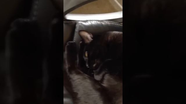 Давай мириться? смотреть онлайн