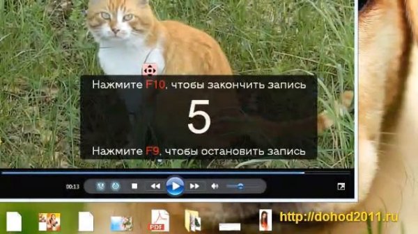 Видеозахват экрана в программе Movavi Video Suite