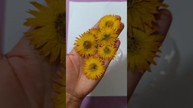 ? Подстаканник из эпоксидной смолы с цветами