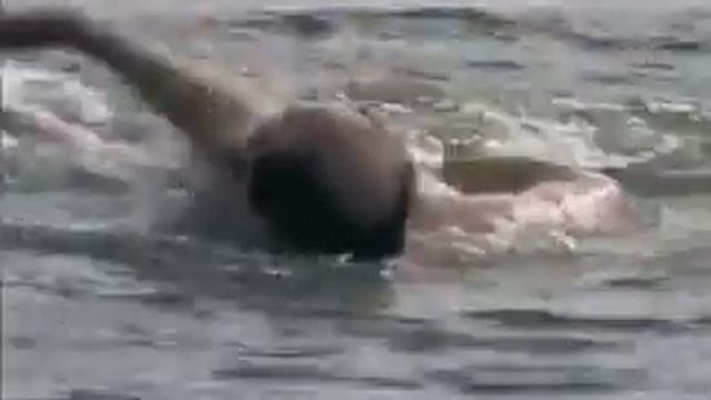 Спасение утопающего смотреть онлайн