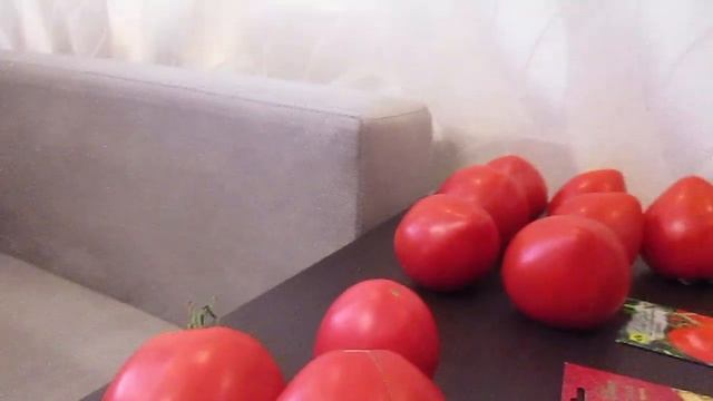 Дегустация томата Сирано и Розовый спам.07.09.2019 смотреть онлайн