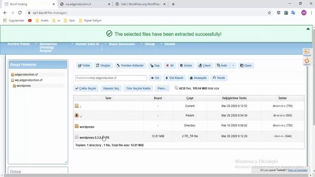 WordPress Kurulumu (Siteniz için Blog Sistemi) смотреть онлайн